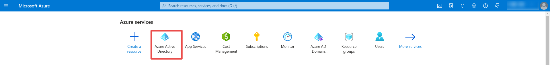 &ldquo;Microsoft portal&rdquo;